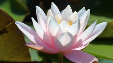 Фото: Martin Woortman on Unsplash