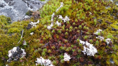 Фото наших Странников