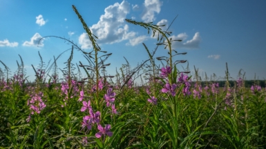 Фото нашей Странницы Марины Шумаковой