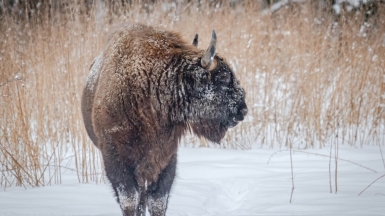 Фото нашего гида Михаила Верёвченко