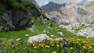 Фото наших Странников