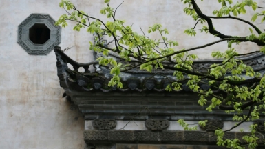 Фото: lvxiaojianac, unsplash.com