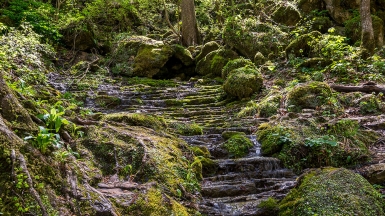 Фото нашего туриста Дмитрия Кочерыгина