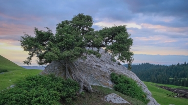 Фото нашей Странницы Марины Шумаковой