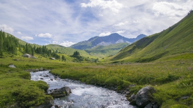 Автор: LSC. Источник: pixabay.com