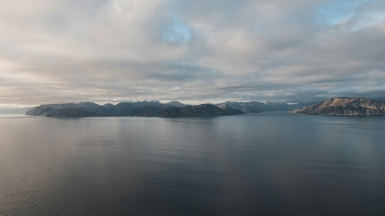 Фото: Alexandr Bormotin on unsplash