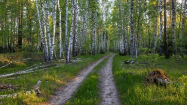 Фото нашего гида Михаила Верёвченко