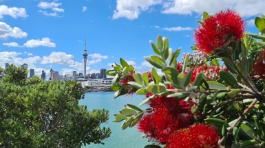 Фото: JustGoThere.NZ