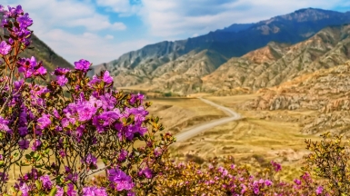 Фото: depositphotos.com