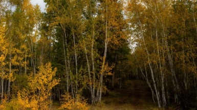 Фото нашего гида Михаила Верёвченко