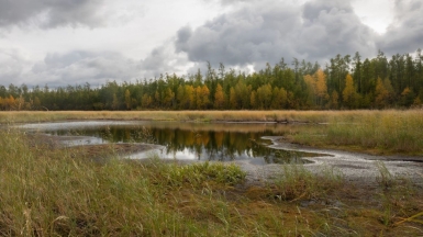 Фото нашего гида Михаила Верёвченко