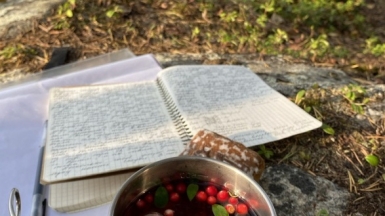 Фото нашей Странницы Анны Зуевой