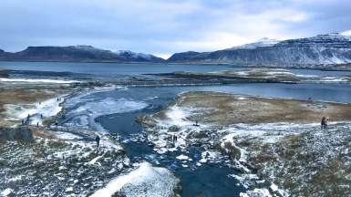 Фото: Josephine Lin, unsplash.com