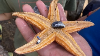 Фото наших Странников