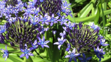 Фото нашего гида Ирины Пряничниковой