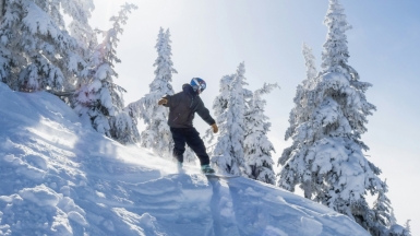 Фото: greg rosenke on unsplash