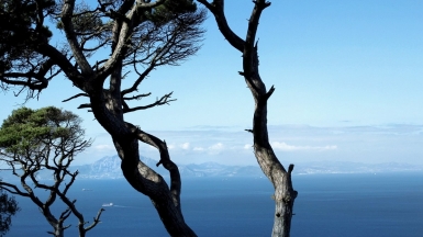 Фото: kjelljoran, visualhunt.com