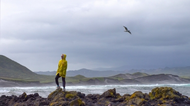 Фото: Matvey Molokov, unsplash.com