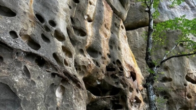 Фото нашей Странницы Надежды Натаровой