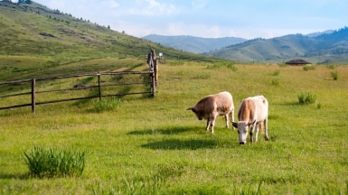 Фото: olfiika on visualhunt