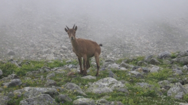 Фото нашего гида Геннадия Скосырева