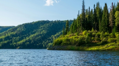 Фото: alexander awerin on unsplash