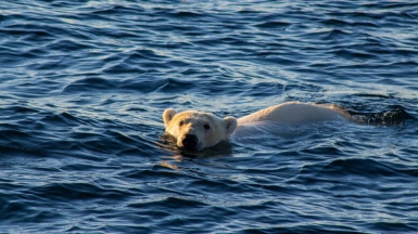 Фото из архива Клуба