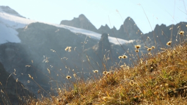 Фото нашего гида Ирины Пшестанчик