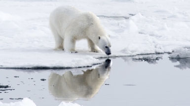 Фото: Christopher.Michel, visualhunt.com