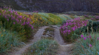 Фото: jayde keroi on unsplash