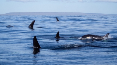 Фото: Dmitri Strakhov on visualhunt