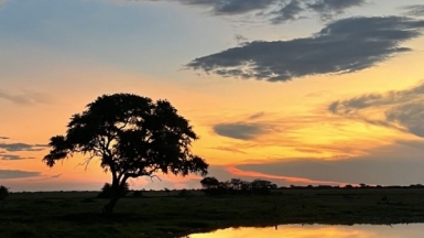 Фото: наш гид Алексей Шорец