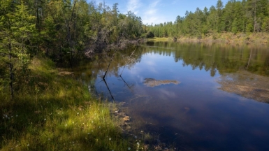 Фото нашего гида Михаила Верёвченко