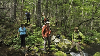 Фото наших партнёров