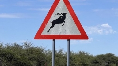 Фото: наш гид Алексей Шорец