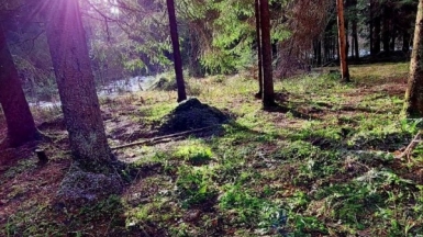 Фото нашего гида Александра Чудновского