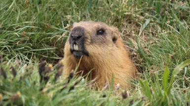 Фото из архива Клуба