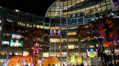 Фото нашего гида Лики Майстровой