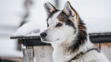 Фото: fredrik solli wandem on unsplash