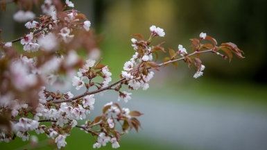 Фото из архива Клуба