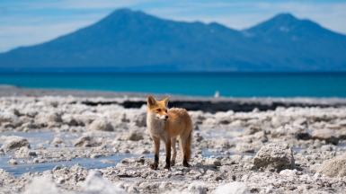 Фото из архива Клуба