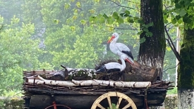 Фото наших Странников