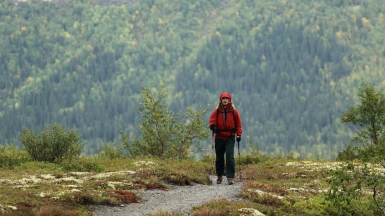 Фото наших Странников