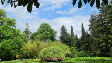 Парк Цинандали. Фото нашего гида Ирины Пряничниковой