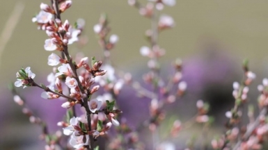 Фото: Aleksandra Sapozhnikova, unsplash.com