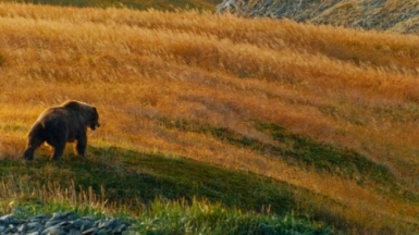 Фото из архива Клуба