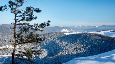 Фото из архива Клуба