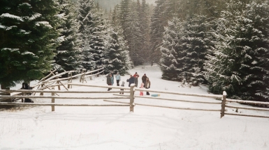 Фото: Tanya Pro, unsplash.com