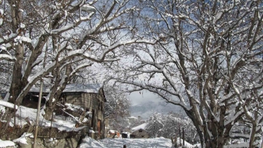 Фото нашего гида Ирины Пряничниковой