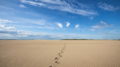 Фото нашего гида Михаила Верёвченко